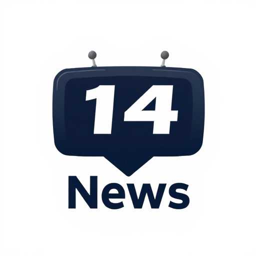 A Ascensão do 14 Bet no Mercado Brasileiro